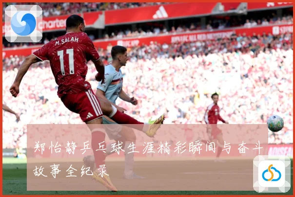 郑怡静乒乓球生涯精彩瞬间与奋斗故事全纪录