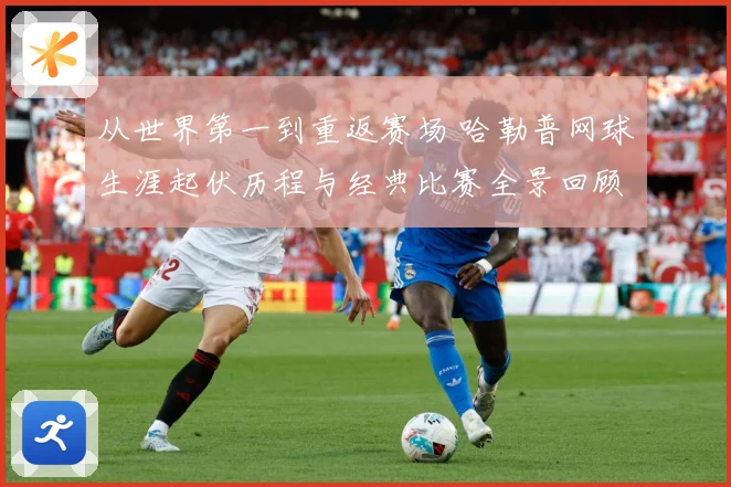 从世界第一到重返赛场 哈勒普网球生涯起伏历程与经典比赛全景回顾