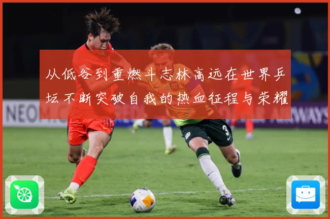 从低谷到重燃斗志林高远在世界乒坛不断突破自我的热血征程与荣耀梦想解析